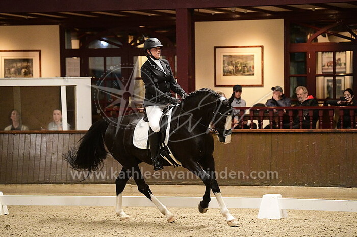 Sandra Vaes- Reyrink - Here I Am