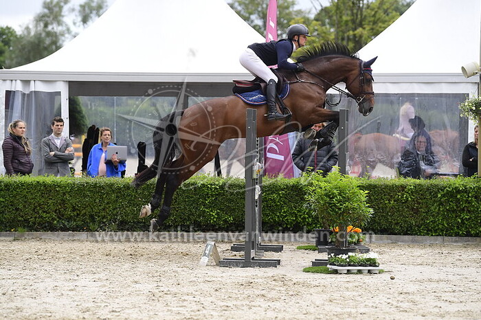 Doron Kuipers - Katar Fortuna