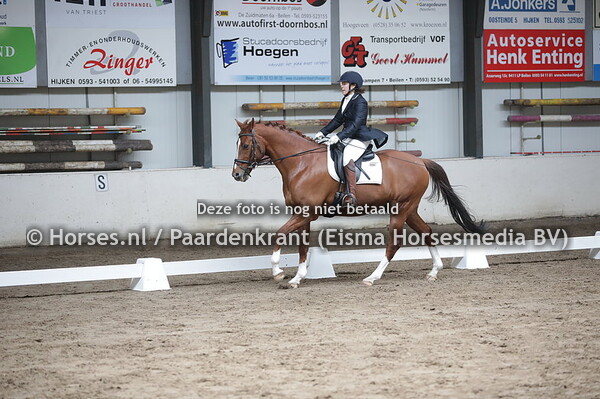 13 Wiebran (Houston x Indian-Gonda v. Cavacadour xx) Majella Elgersma