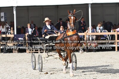 4jr fokmerries in tuig groep 2