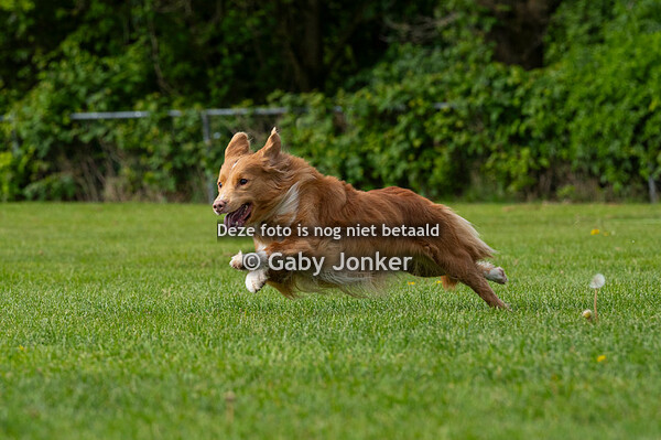 Kc Hoogeveen 28-04-24