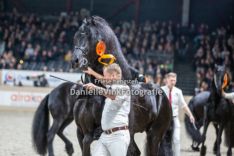 Hengstenkeuring 2020 Elias 494