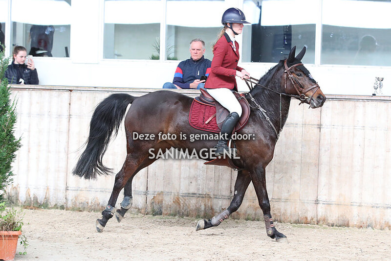 De Voornruiters de Meern Springen Pony's 12-03-2022 B (D/E pony's)