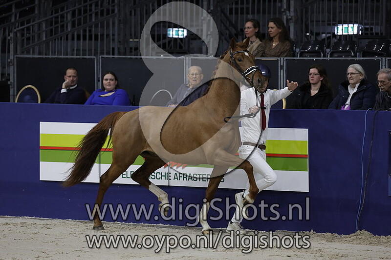 Royal King v. King Karim - 609