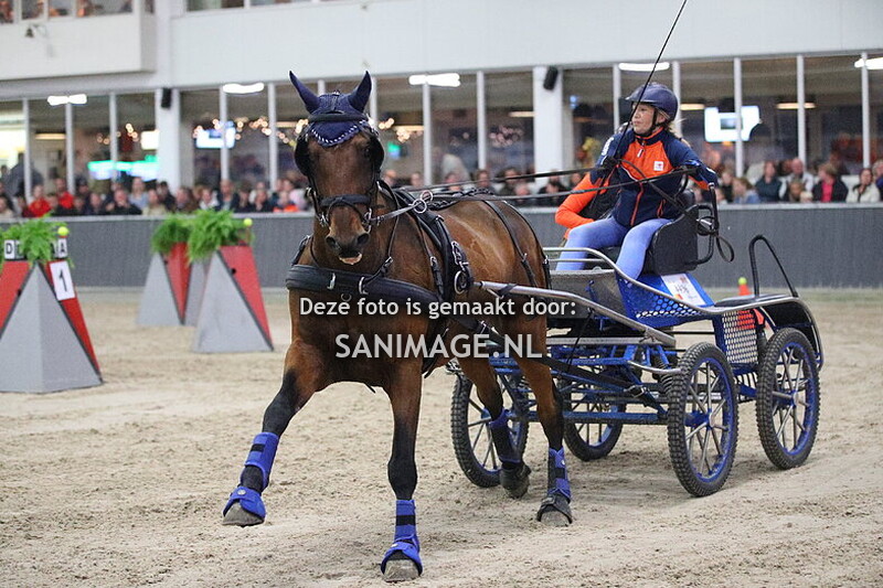 De Voornruiters De Meern Menmarathon 05-10-2024 Finale Paarden 1-span 20.30 uur