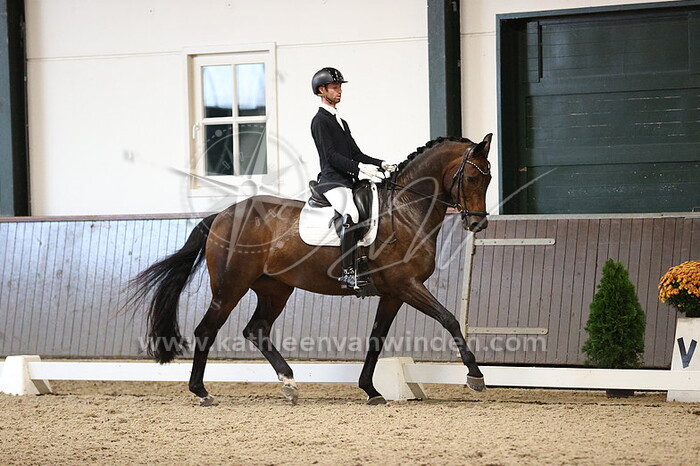 Tom Silkens - Homevision's Fifadorijke