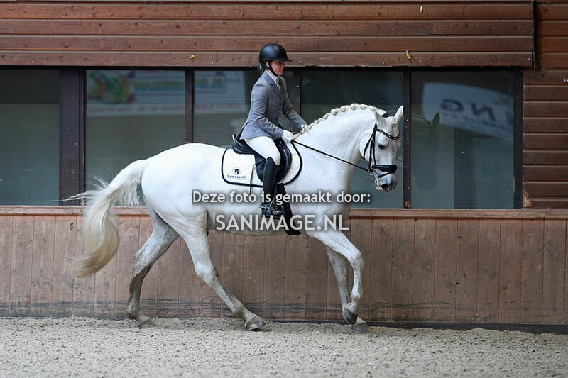 Midland Dressuur 26-03-2023 13.45 - 16.30 uur