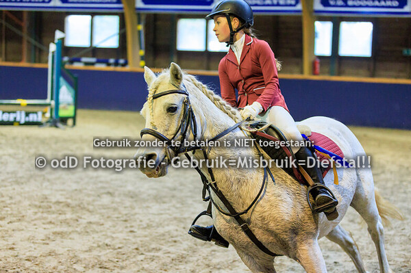 Geldrop Hippique oefen 50cm  11-10-25