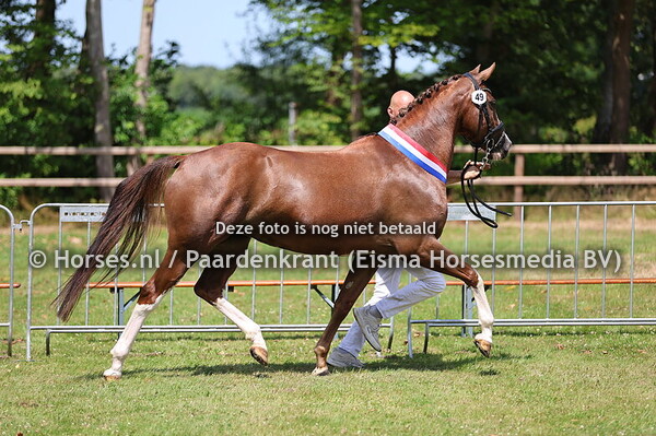 49 Olivia van de Seleviahoeve