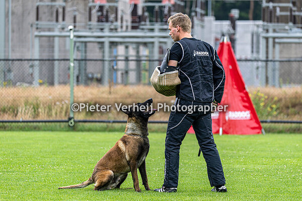 Rienk Taekema Snap van het Groot Wezenland