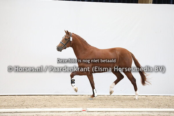 401 For Romance x Rousseau