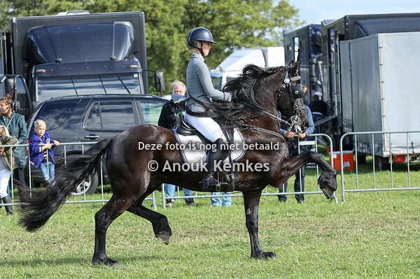 Friezen onder het zadel