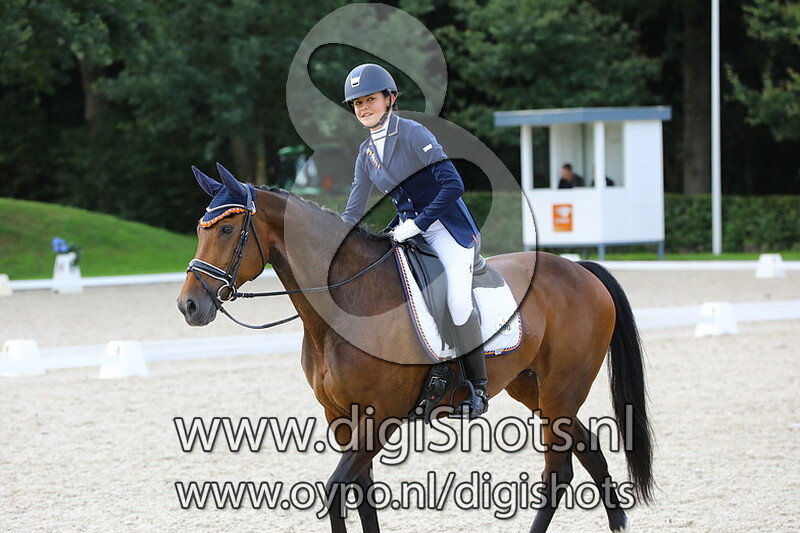 Z2 paarden dressuur Ring 3