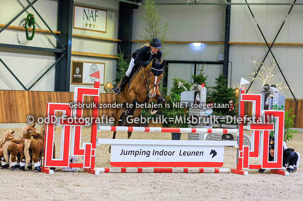 JIL 2025 Paard 95cm 03-01-25