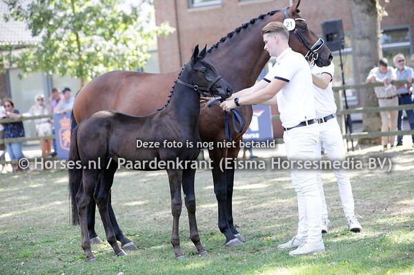 21 Sommerwolke I&S (Nick Wimphof x Helium)