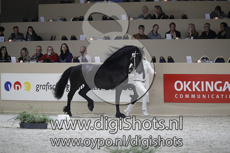 Dytmer fan t Fjildhus