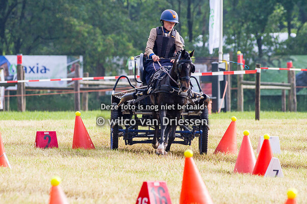 Dressuur en Vaardigheid