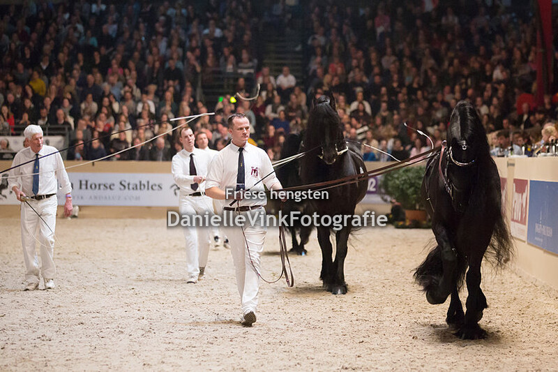 Hengstenkeuring 2018 Tsjalke 397