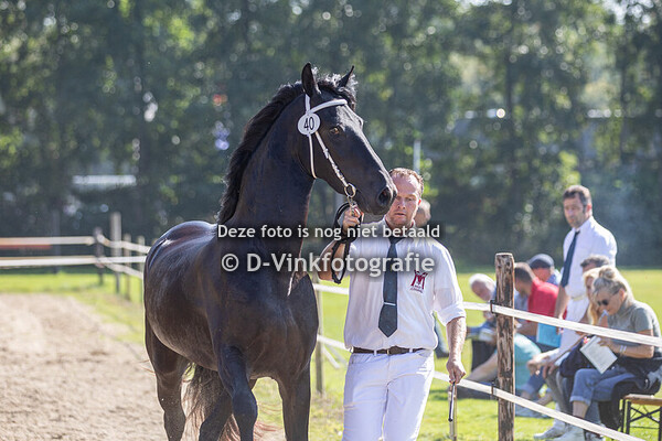 40. Romee fan e Kruisbout