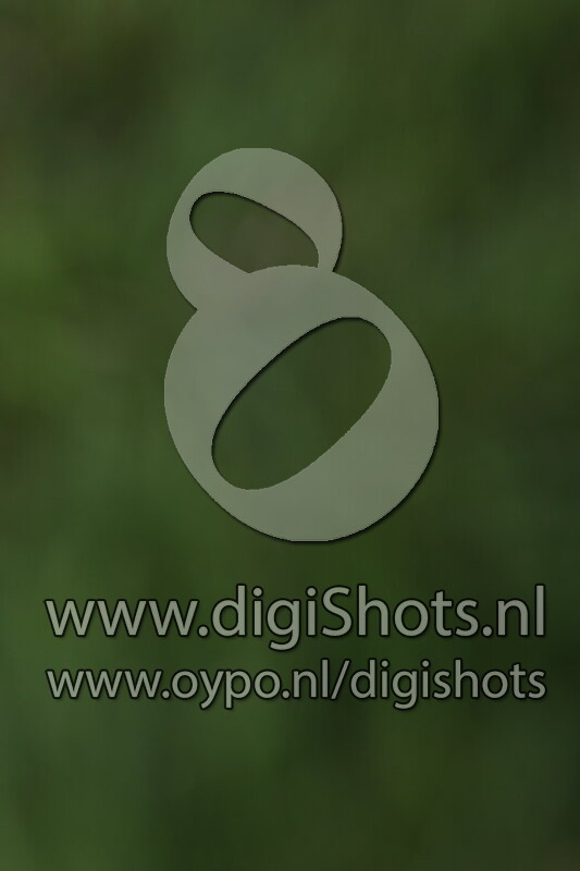 Ring 8 's middags vanaf 13.30