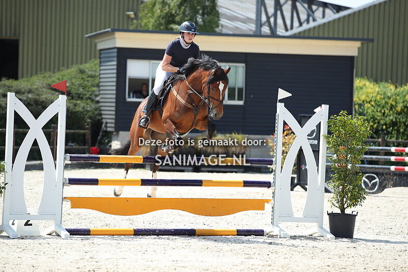 Stal Groenendaal Springen Paarden 12-07-2025 110 cm
