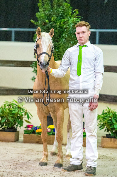 Sectie B (Vrijdag en Zaterdag)