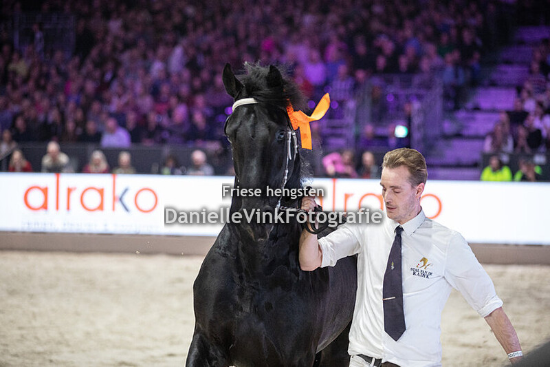 Hengstenkeuring 2025 Manno 541