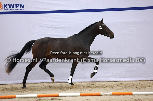 313 (Dark Rousseau x Dream Boy)