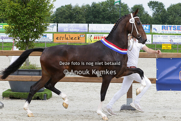 043 - SENDIE W LANTO HBC X ULANDRO H. WOBBES, NUIS