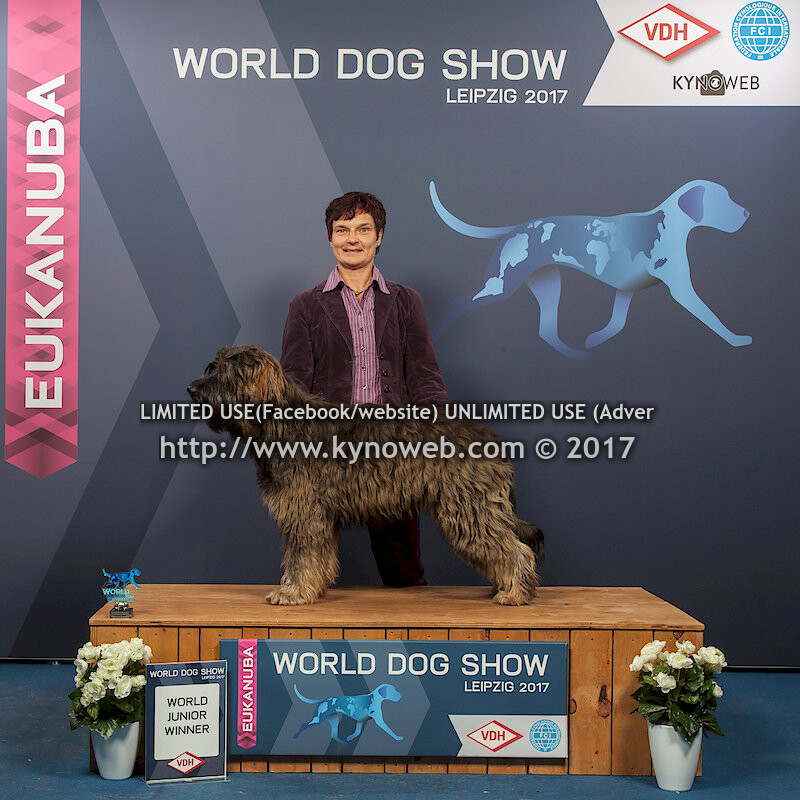 BOB / FREE / EXPRESS