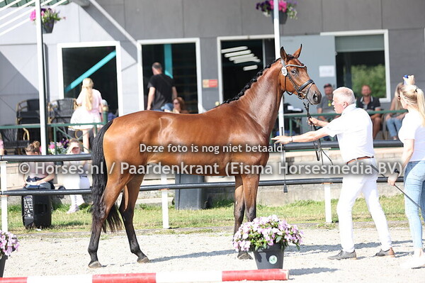 30 SINDERIJKE KD (NEXT PITCH x MALOURIJKE VR V. DAILY DIAMOND)