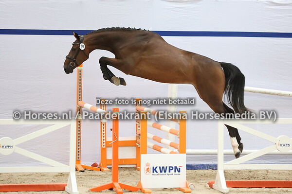 70 Signorita ES (v.Emerald v't Ruytershof x A.Vaantje)