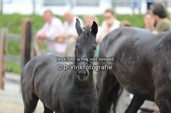 30. Tjeeske van de Broekstraat 
