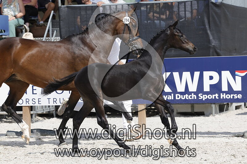 Taganita v. Dark Rousseau