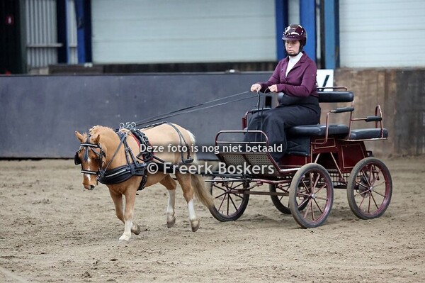 22-11-2025 1 ste Mencompetitie Wedstrijd - Manege De Woudruiters menners groep