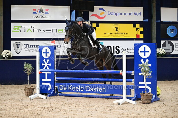 Julia van der Heijden - NN