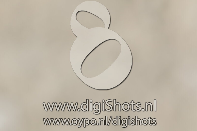 Ring 5 Klasse L2 Paarden vanaf 12.30