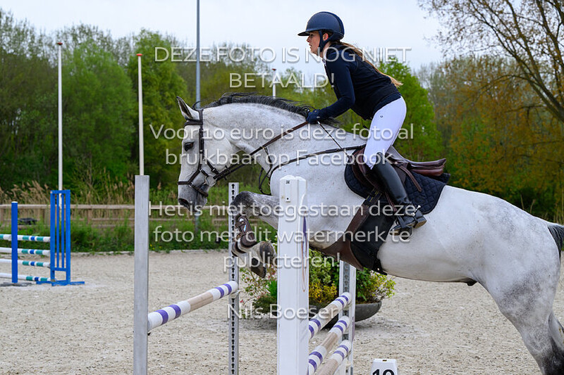 1 Oefenspringen paarden