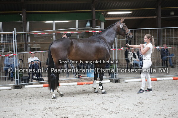 103 Maya da Mora (High Five  US x Cheerilyn v. Painted Black)