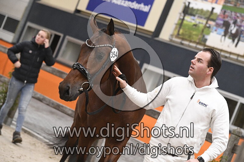 N Avichii v. Dream Boy