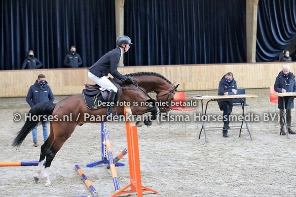 12-04-2021 VO KWPN springhengsten