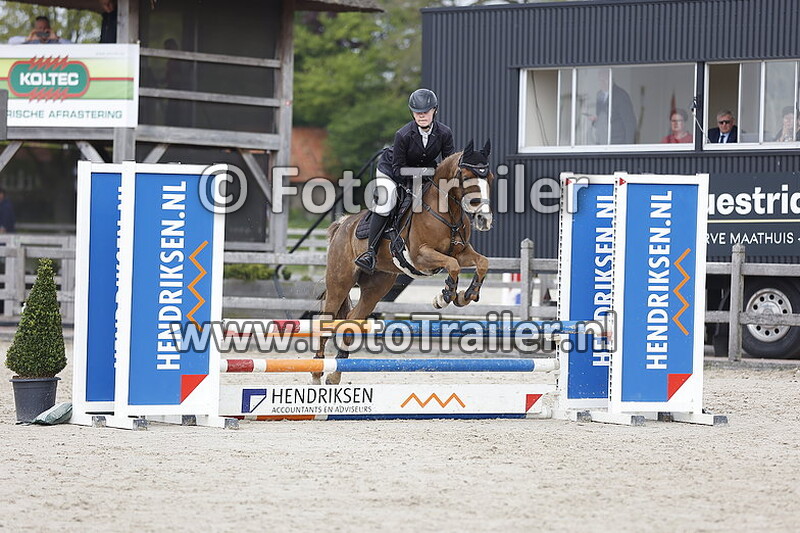 marlique hondenbrink