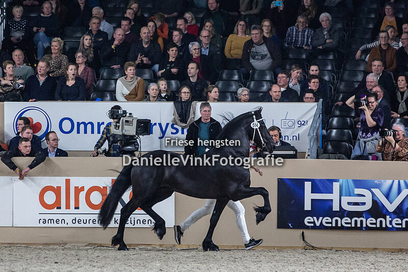 Hengstenkeuring 2020 Auwert 514