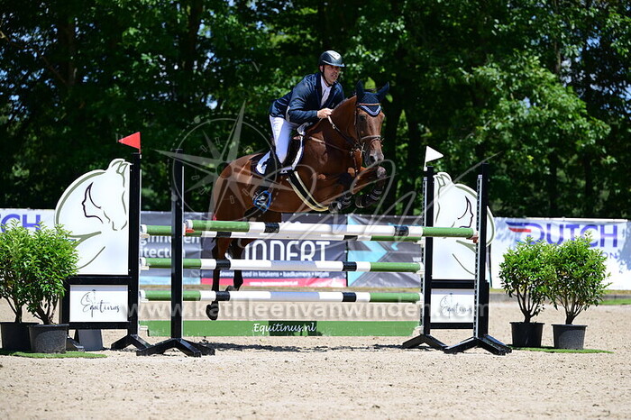 Jan Segers - Butterfly van de Laren Z