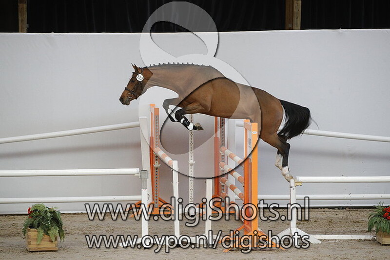 Mirakel HPS v. Grand Slam VDL