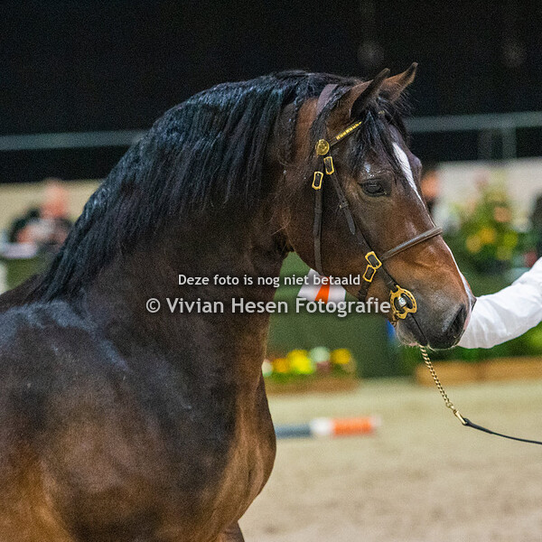 Sectie C en D (Vrijdag en Zaterdag)