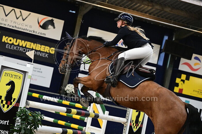 Maaike van Meer - Cool Factor van de Vijfheide Z