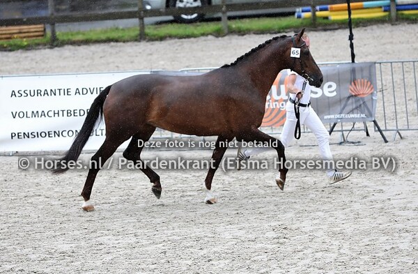 65 Chess (Johnson x Jody v. Duko)