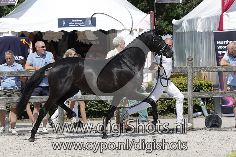 Pepper L.E. v. Lennox US