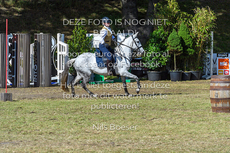 4 Working Equitation